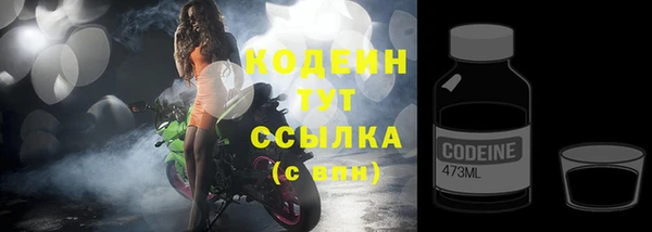 индика Карпинск