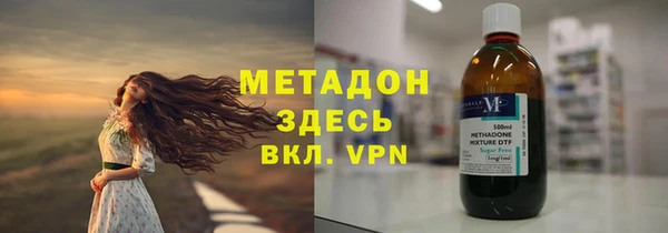 индика Карпинск