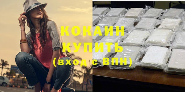 индика Карпинск